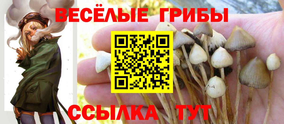 Галлюциногенные грибы прущие грибы Россия