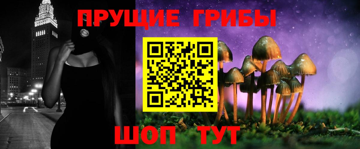 Россия  Псилоцибиновые грибы Psilocybe  Вход с VPN  купить  цена  Псилоцибиновые грибы Cubensis 