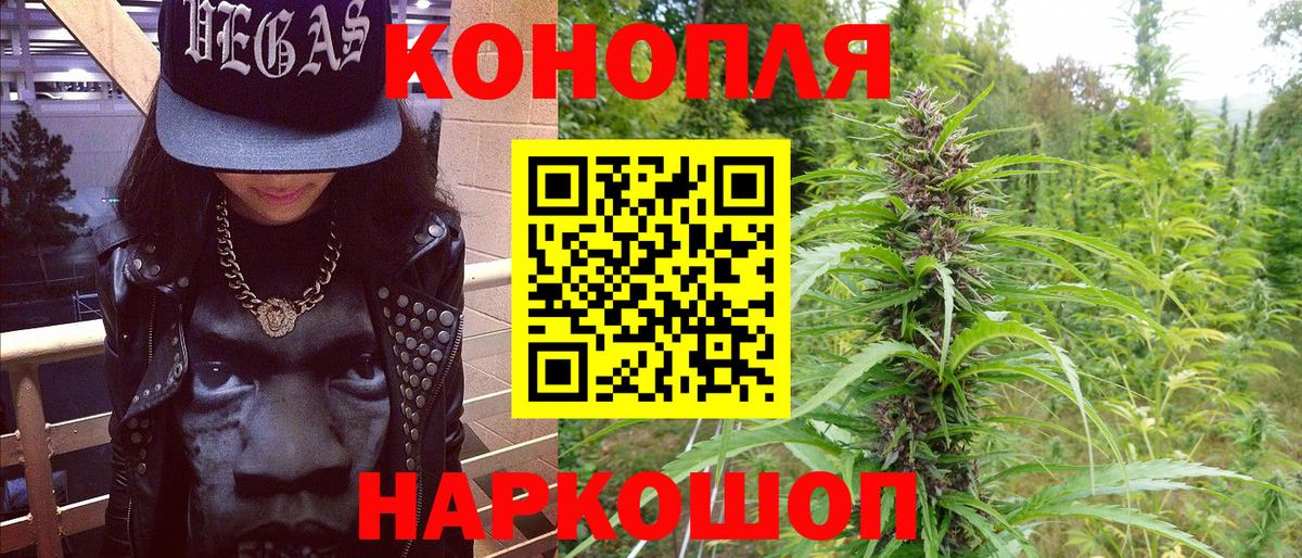 Бошки Шишки семена Россия